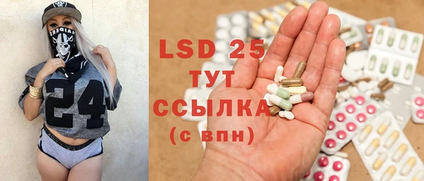 индика Аркадак