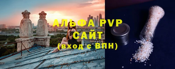 индика Аркадак