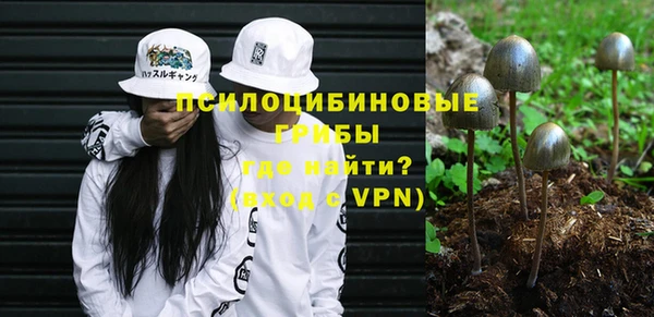 индика Аркадак
