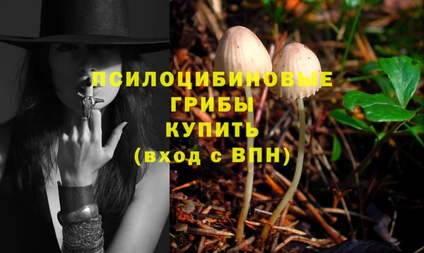 меф Арсеньев