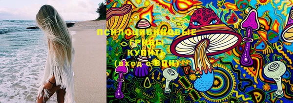 меф Арсеньев