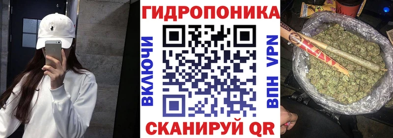 Бошки Шишки конопля  сколько стоит  Михайлов 